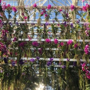 Meet your Posher, Ava